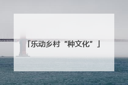 乐动乡村“种文化”