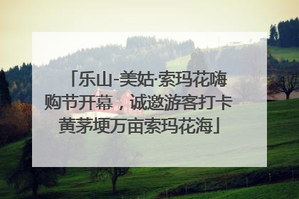 乐山-美姑·索玛花嗨购节开幕，诚邀游客打卡黄茅埂万亩索玛花海