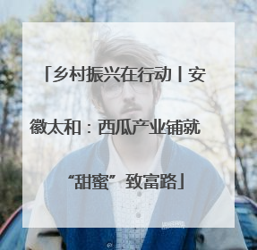 乡村振兴在行动丨安徽太和：西瓜产业铺就“甜蜜”致富路