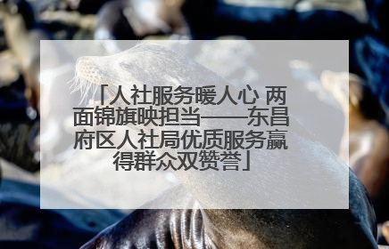 人社服务暖人心 两面锦旗映担当——东昌府区人社局优质服务赢得群众双赞誉