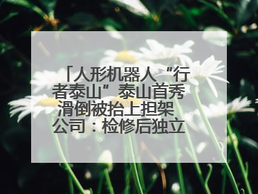 人形机器人“行者泰山”泰山首秀滑倒被抬上担架 公司：检修后独立下山 测试就是为暴露问题