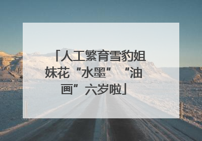 人工繁育雪豹姐妹花“水墨”“油画”六岁啦