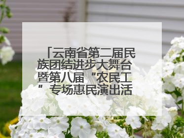 云南省第二届民族团结进步大舞台暨第八届“农民工”专场惠民演出活动启幕