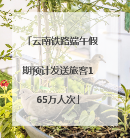 云南铁路端午假期预计发送旅客165万人次
