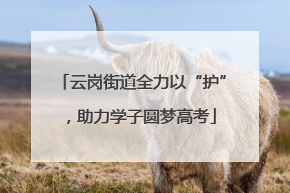 云岗街道全力以“护”，助力学子圆梦高考