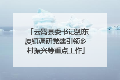 云霄县委书记到东厦镇调研党建引领乡村振兴等重点工作