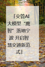 交管AI大模型“鹰智”落地宁波 开启智慧交通新范式