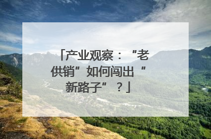 产业观察：“老供销”如何闯出“新路子”？