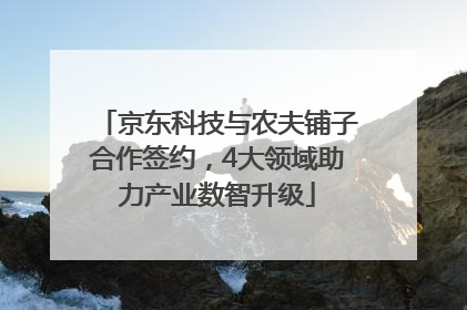 京东科技与农夫铺子合作签约，4大领域助力产业数智升级