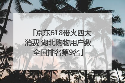 京东618带火四大消费 湖北购物用户数全国排名第9名