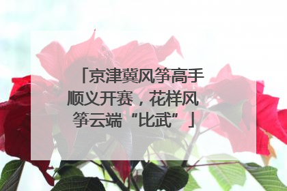京津冀风筝高手顺义开赛，花样风筝云端“比武”