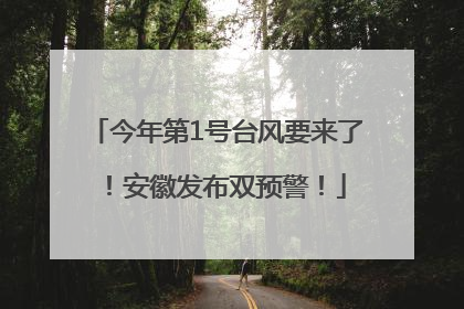 今年第1号台风要来了！安徽发布双预警！