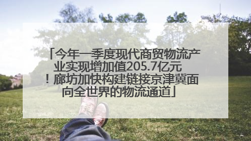 今年一季度现代商贸物流产业实现增加值205.7亿元！廊坊加快构建链接京津冀面向全世界的物流通道