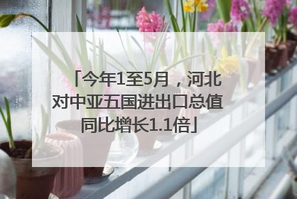今年1至5月，河北对中亚五国进出口总值同比增长1.1倍