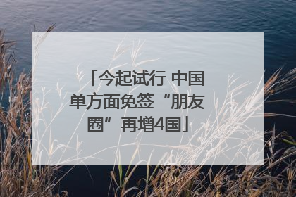 今起试行 中国单方面免签“朋友圈”再增4国
