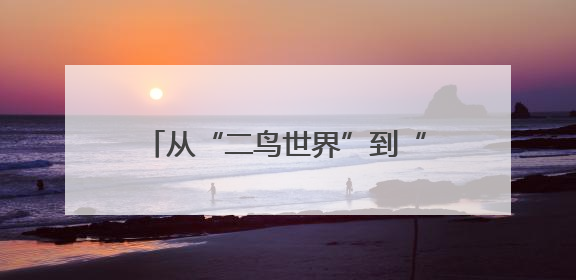 从“二鸟世界”到“五口之家” 一对东方白鹳的黄河口之恋