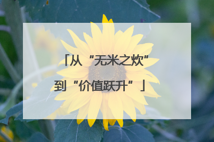 从“无米之炊”到“价值跃升”