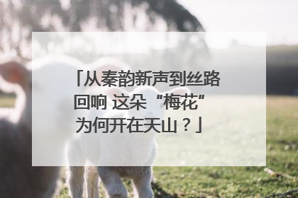从秦韵新声到丝路回响 这朵“梅花”为何开在天山？