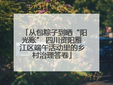 从包粽子到晒“阳光账” 四川资阳雁江区端午活动里的乡村治理答卷