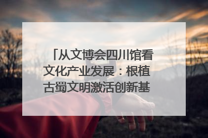 从文博会四川馆看文化产业发展：根植古蜀文明激活创新基因｜文博向“新”