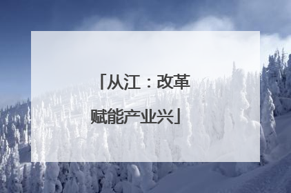 从江：改革赋能产业兴