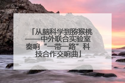 从脑科学到猕猴桃——中外联合实验室奏响“一带一路”科技合作交响曲
