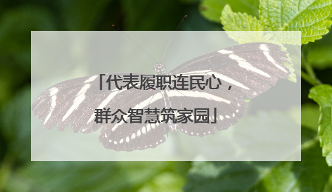 代表履职连民心，群众智慧筑家园