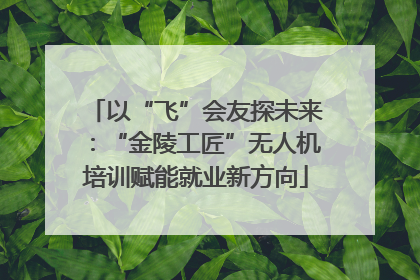 以“飞”会友探未来：“金陵工匠”无人机培训赋能就业新方向