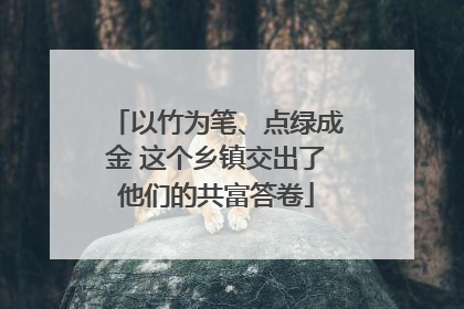 以竹为笔、点绿成金 这个乡镇交出了他们的共富答卷