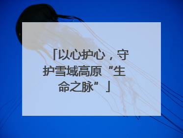 以心护心，守护雪域高原“生命之脉”