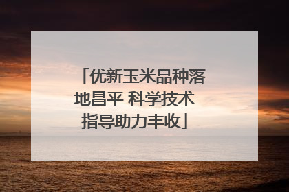 优新玉米品种落地昌平 科学技术指导助力丰收