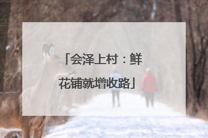 会泽上村：鲜花铺就增收路