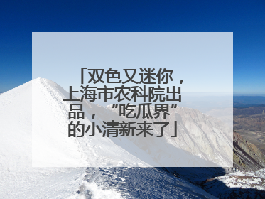 双色又迷你，上海市农科院出品，“吃瓜界”的小清新来了