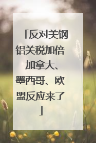 反对美钢铝关税加倍 加拿大、墨西哥、欧盟反应来了