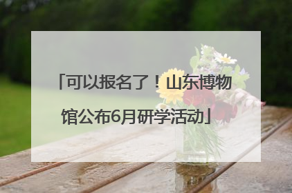 可以报名了！山东博物馆公布6月研学活动