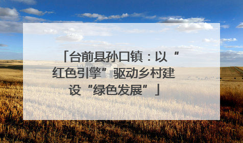 台前县孙口镇：以“红色引擎”驱动乡村建设“绿色发展”