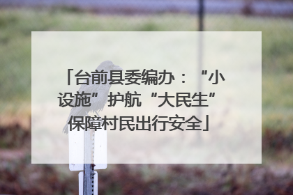 台前县委编办：“小设施”护航“大民生” 保障村民出行安全