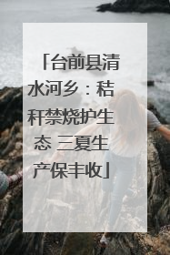 台前县清水河乡：秸秆禁烧护生态 三夏生产保丰收