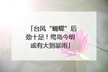 台风“蝴蝶”后劲十足！鹭岛今明或有大到暴雨