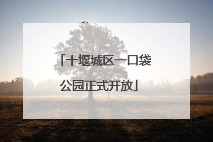 十堰城区一口袋公园正式开放