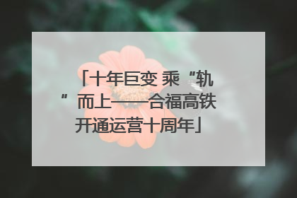 十年巨变 乘“轨”而上——合福高铁开通运营十周年