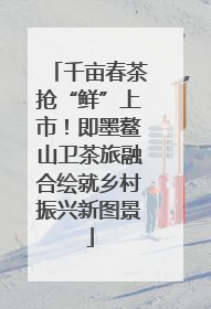 千亩春茶抢“鲜”上市！即墨鳌山卫茶旅融合绘就乡村振兴新图景