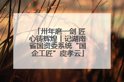 卅年磨一剑 匠心铸辉煌丨记湖南省国资委系统“国企工匠”虞孝云