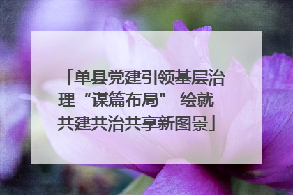 单县党建引领基层治理“谋篇布局” 绘就共建共治共享新图景