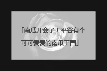 南瓜开会了！平谷有个可可爱爱的南瓜王国
