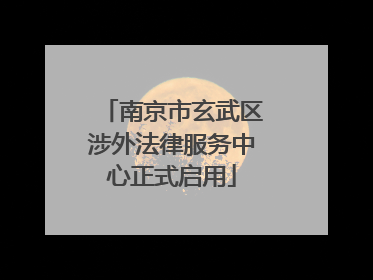 南京市玄武区涉外法律服务中心正式启用