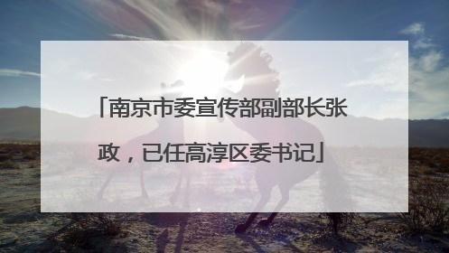 南京市委宣传部副部长张政，已任高淳区委书记