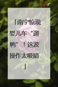 南宁惊现婴儿车“遛鸭”！这波操作太吸睛