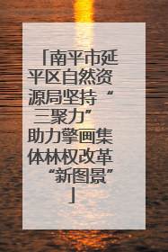 南平市延平区自然资源局坚持“三聚力” 助力擎画集体林权改革“新图景”