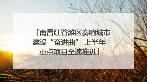 南昌红谷滩区奏响城市建设“奋进曲” 上半年重点项目全速推进